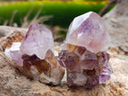 Natural Dark Amethyst Spirit Quartz Crystal Points x 63 From Boekenhouthoek, South Africa - Toprock Gemstones and Minerals 