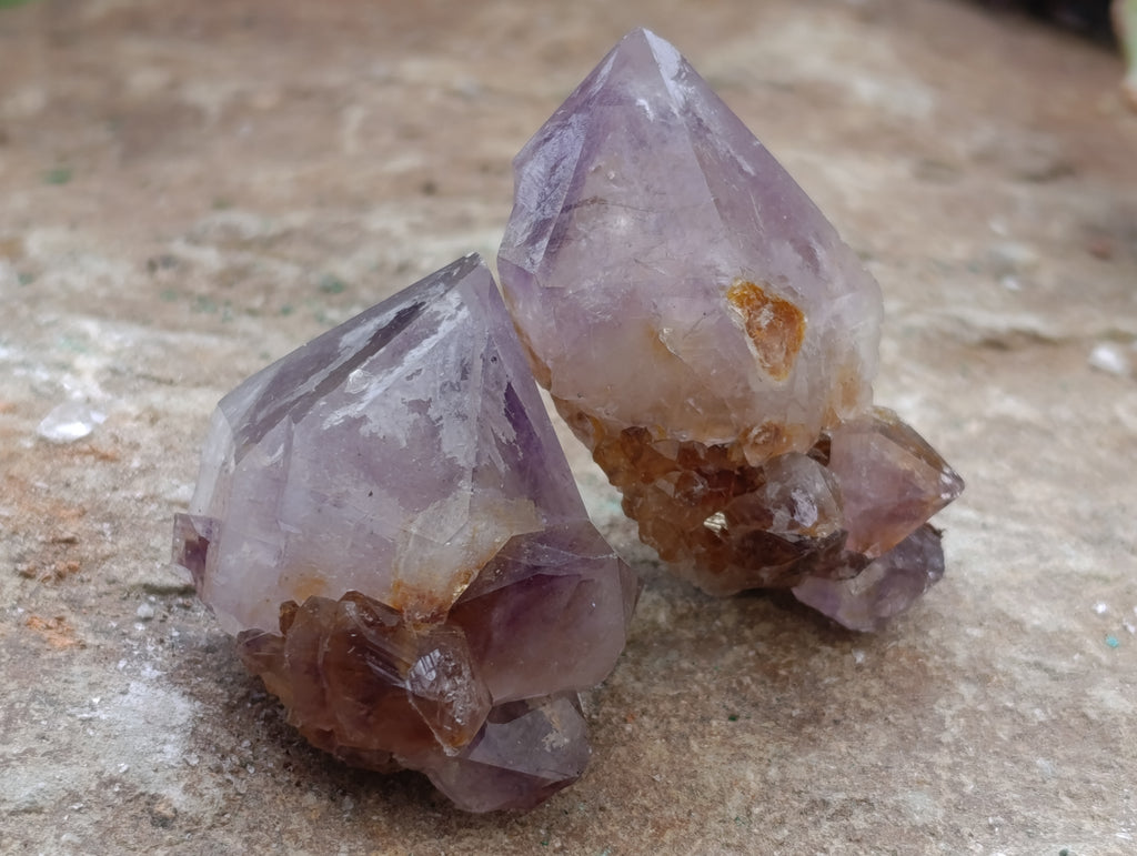 Natural Dark Amethyst Spirit Quartz Crystal Points x 63 From Boekenhouthoek, South Africa - Toprock Gemstones and Minerals 