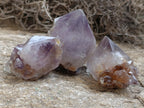 Natural Dark Amethyst Spirit Quartz Crystal Points x 63 From Boekenhouthoek, South Africa - Toprock Gemstones and Minerals 
