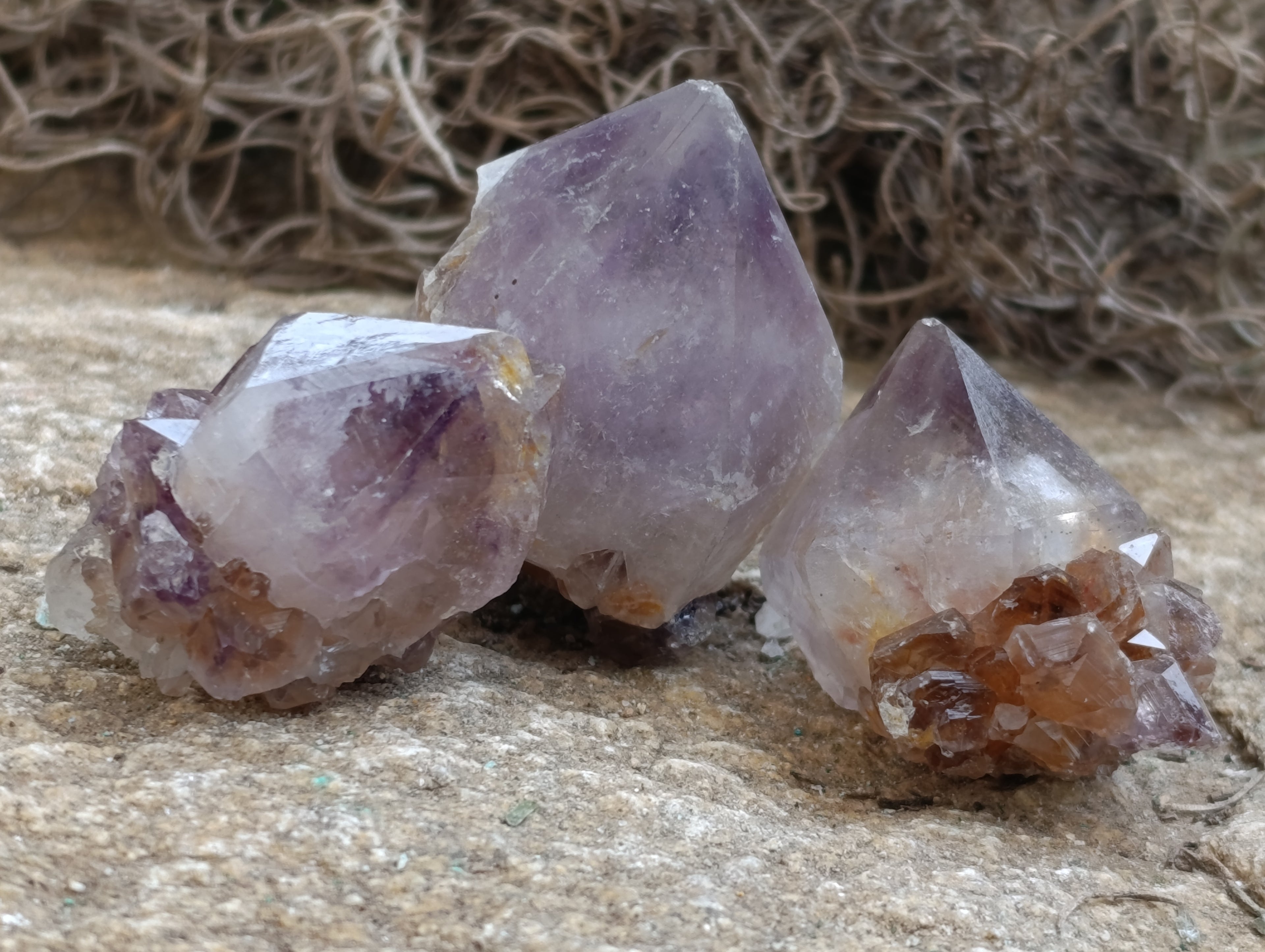 Natural Dark Amethyst Spirit Quartz Crystal Points x 63 From Boekenhouthoek, South Africa - Toprock Gemstones and Minerals 