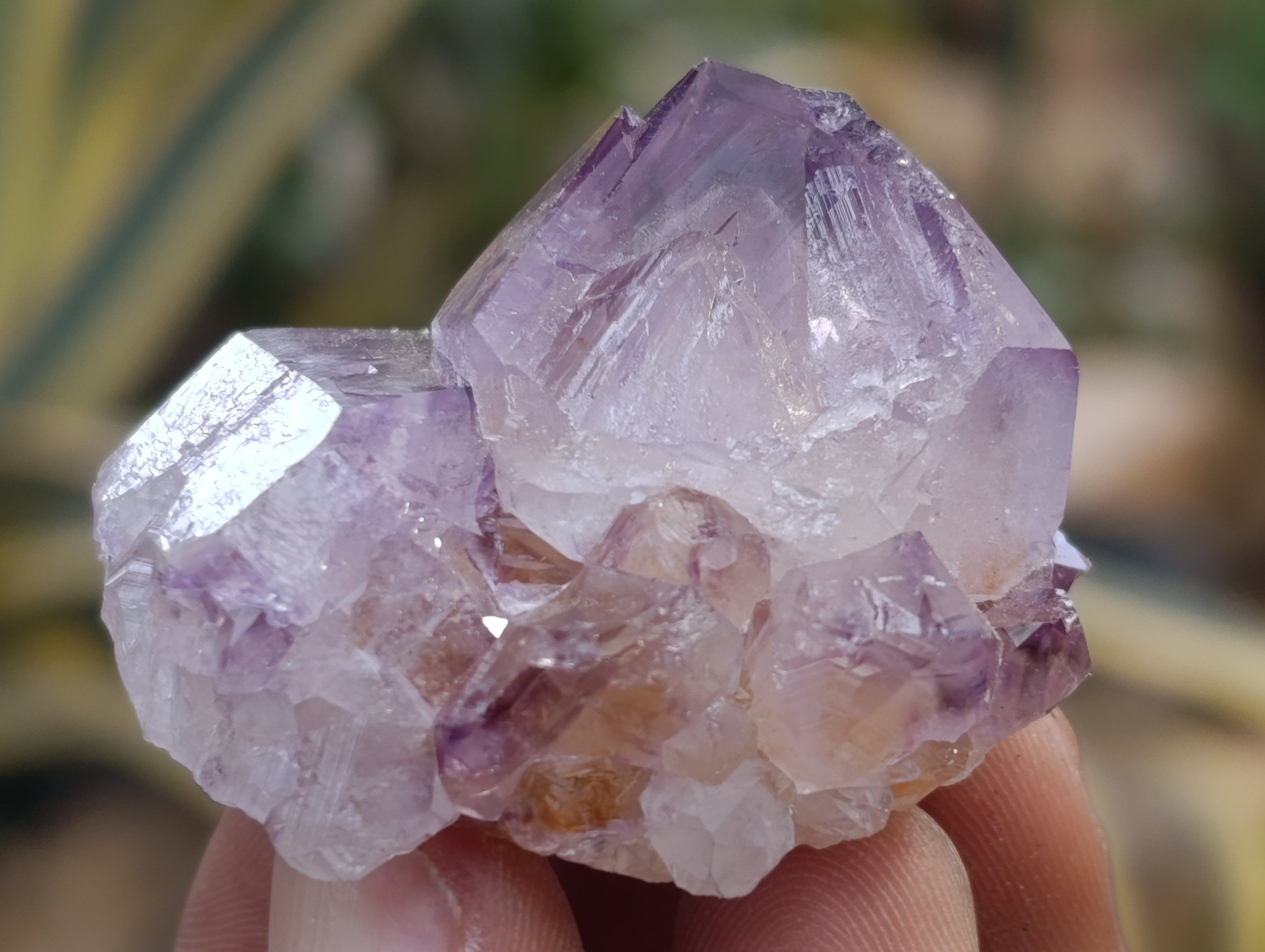 Natural Dark Amethyst Spirit Quartz Crystal Points x 63 From Boekenhouthoek, South Africa - Toprock Gemstones and Minerals 