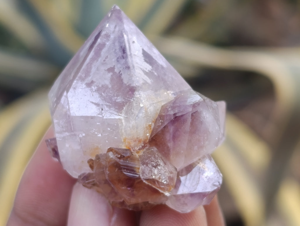 Natural Dark Amethyst Spirit Quartz Crystal Points x 63 From Boekenhouthoek, South Africa - Toprock Gemstones and Minerals 