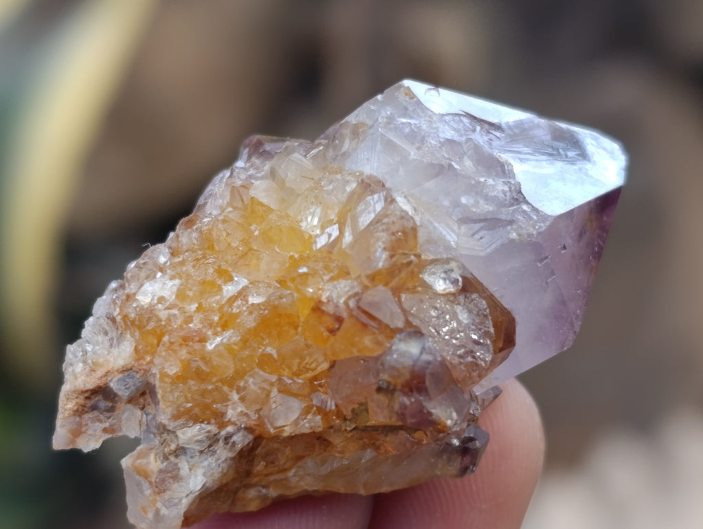 Natural Dark Amethyst Spirit Quartz Crystal Points x 63 From Boekenhouthoek, South Africa - Toprock Gemstones and Minerals 