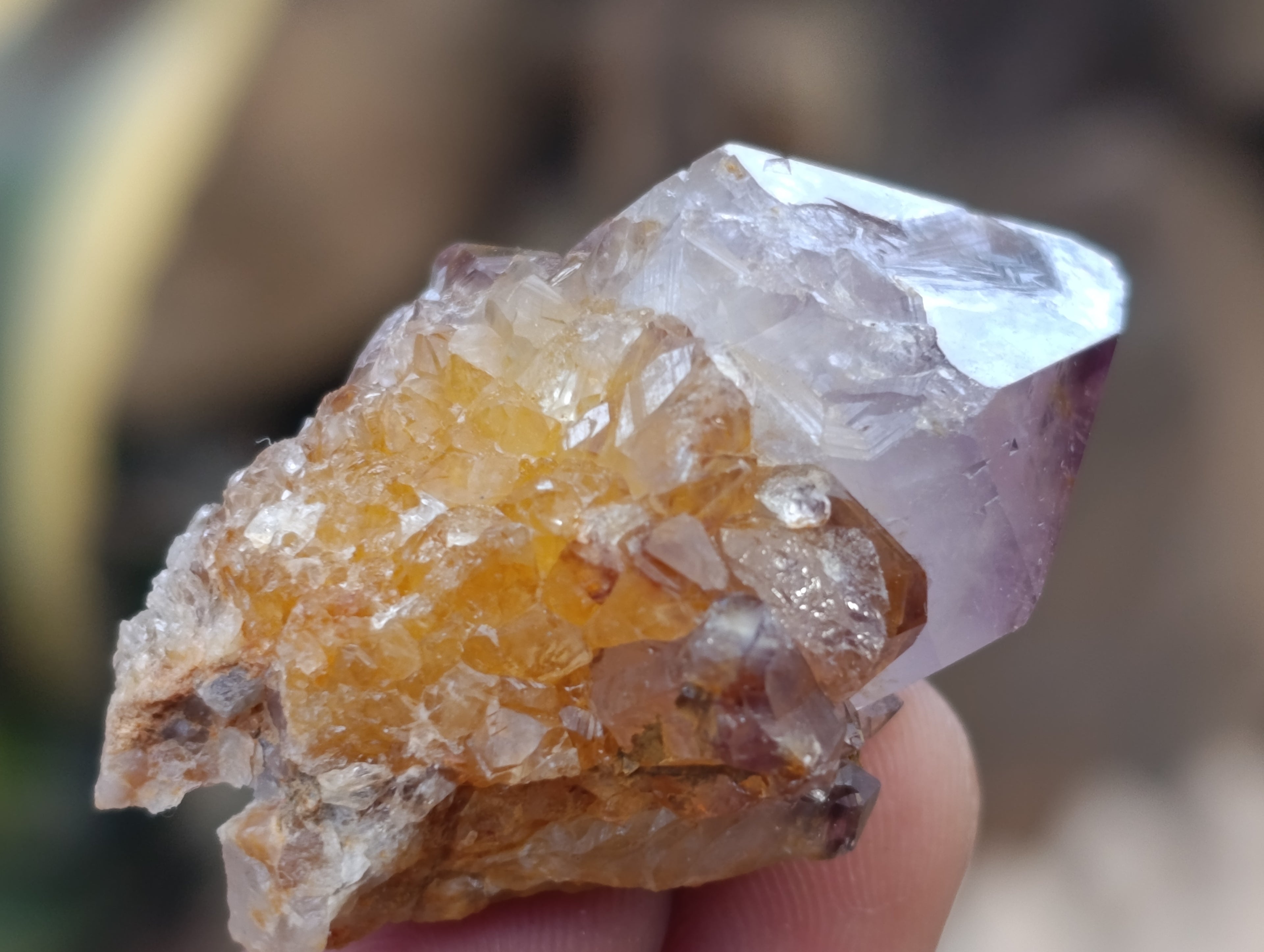Natural Dark Amethyst Spirit Quartz Crystal Points x 63 From Boekenhouthoek, South Africa - Toprock Gemstones and Minerals 
