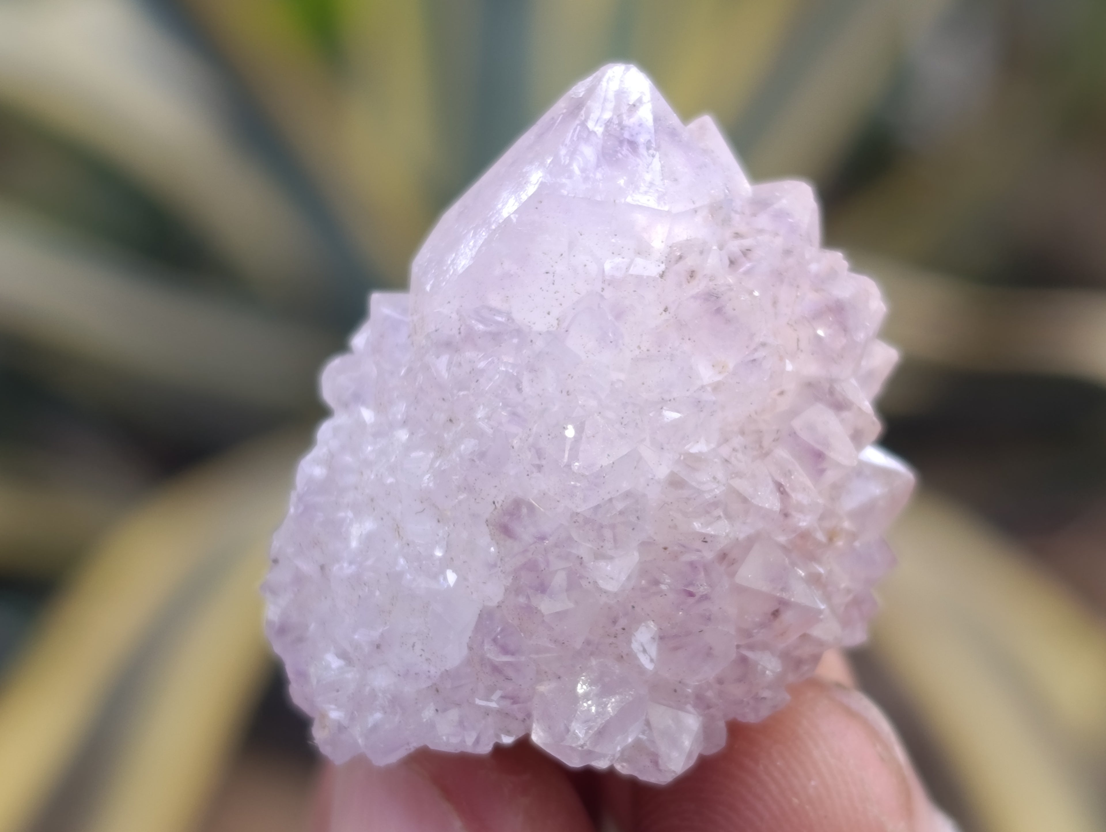 Natural Dark Amethyst Spirit Quartz Crystal Points x 63 From Boekenhouthoek, South Africa - Toprock Gemstones and Minerals 