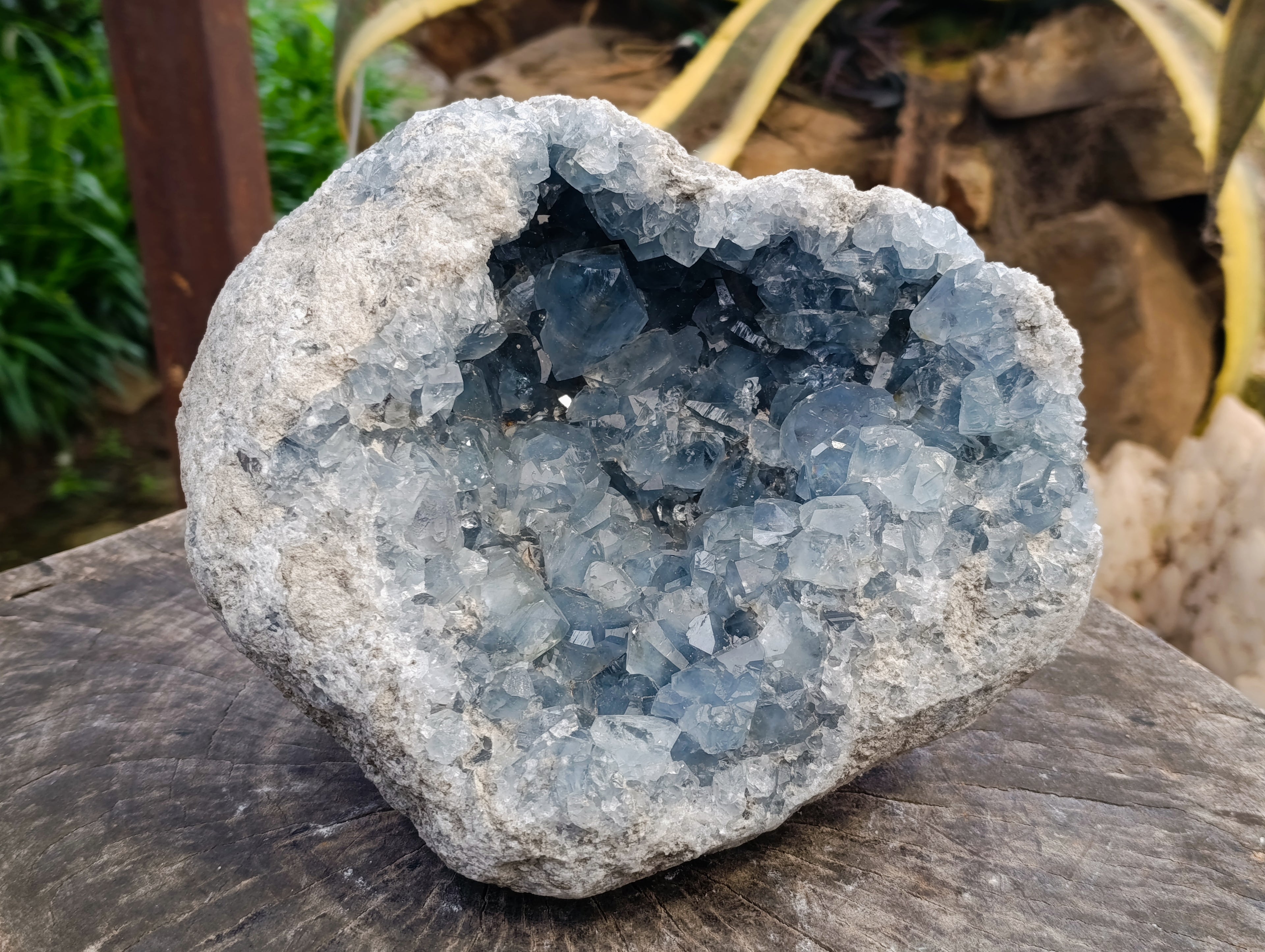 Natural Large Celestite Geode Specimen x 1 From Sakoany, Madagascar - Toprock Gemstones and Minerals 