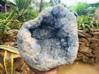 Natural Large Celestite Geode Specimen x 1 From Sakoany, Madagascar - Toprock Gemstones and Minerals 