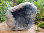 Natural Large Celestite Geode Specimen x 1 From Sakoany, Madagascar - Toprock Gemstones and Minerals 