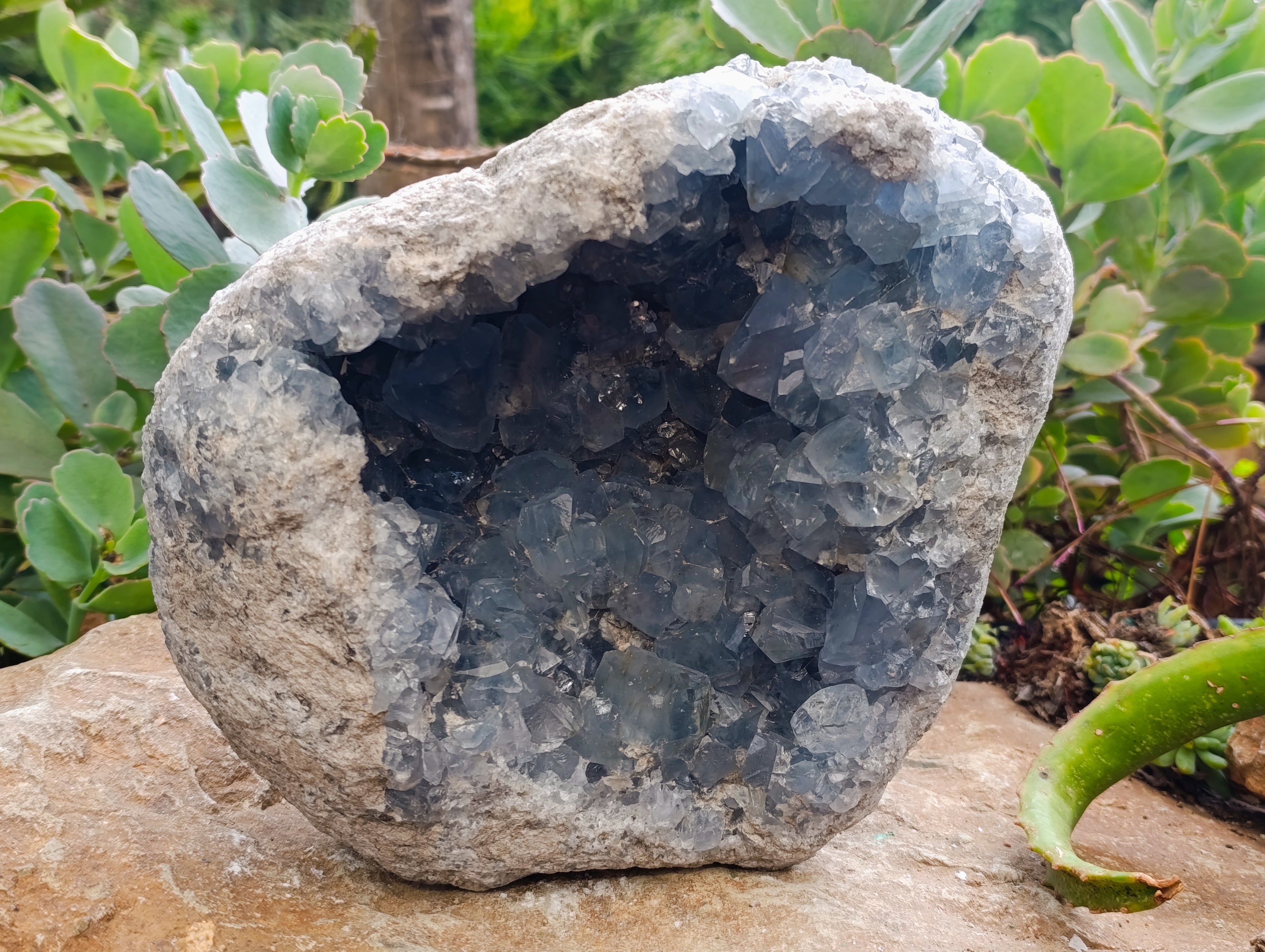 Natural Large Celestite Geode Specimen x 1 From Sakoany, Madagascar - Toprock Gemstones and Minerals 