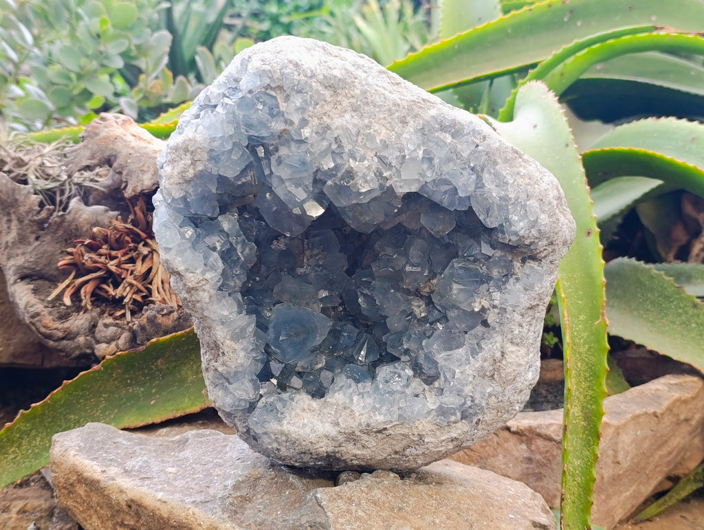 Natural Large Celestite Geode Specimen x 1 From Sakoany, Madagascar - Toprock Gemstones and Minerals 