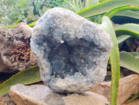 Natural Large Celestite Geode Specimen x 1 From Sakoany, Madagascar - Toprock Gemstones and Minerals 