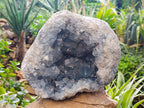 Natural Large Celestite Geode Specimen x 1 From Sakoany, Madagascar - Toprock Gemstones and Minerals 