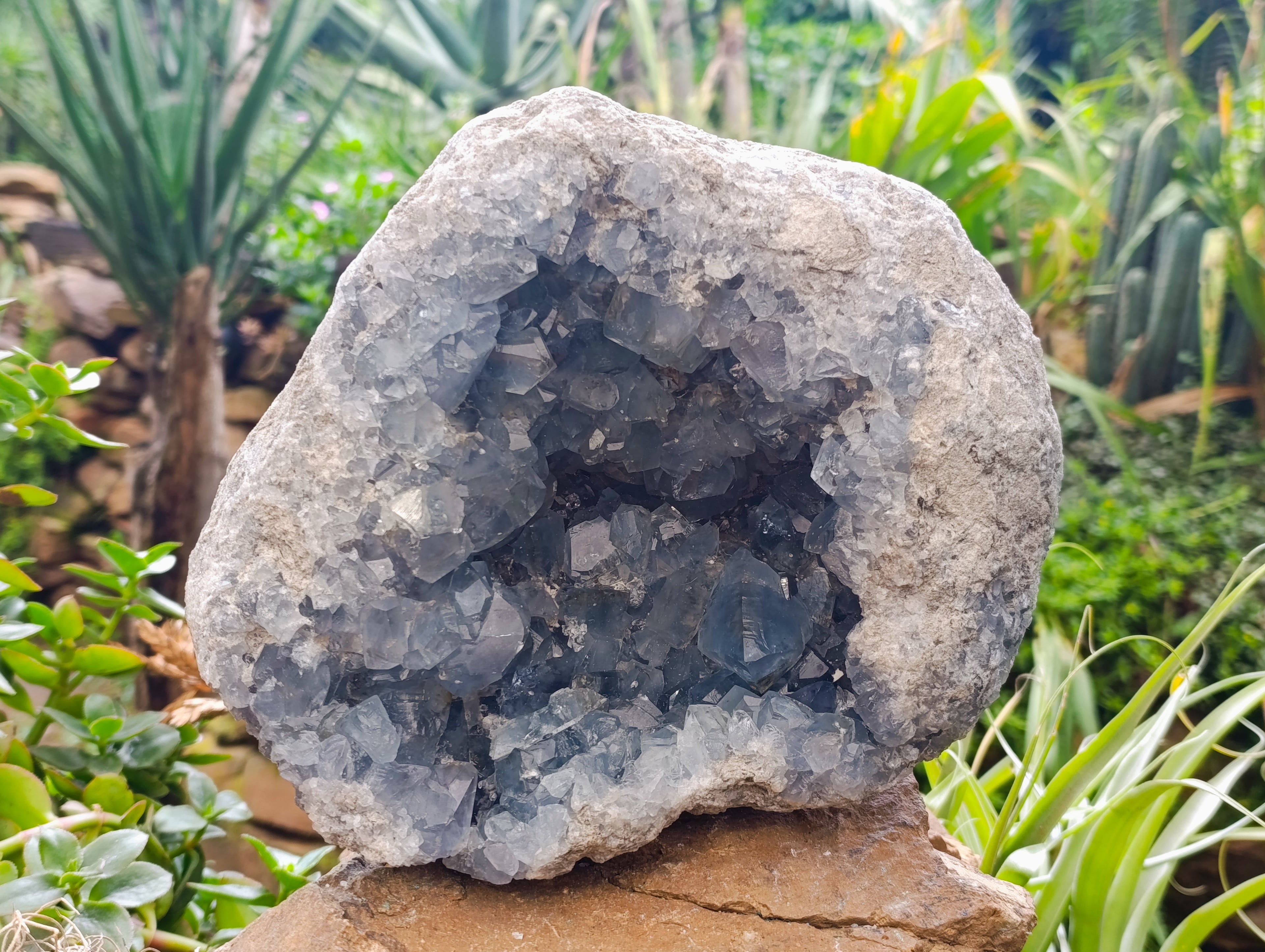 Natural Large Celestite Geode Specimen x 1 From Sakoany, Madagascar - Toprock Gemstones and Minerals 