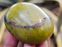 Polished Green Opal Palm Stones x 12 From Betroka, Madagascar