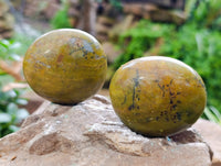 Polished Green Opal Palm Stones x 12 From Betroka, Madagascar