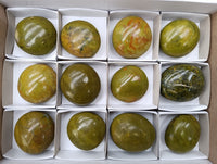 Polished Green Opal Palm Stones x 12 From Betroka, Madagascar