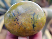 Polished Green Opal Palm Stones x 12 From Betroka, Madagascar