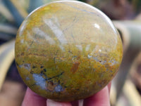 Polished Green Opal Palm Stones x 12 From Betroka, Madagascar