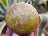 Polished Green Opal Palm Stones x 12 From Betroka, Madagascar