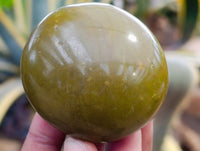 Polished Green Opal Palm Stones x 12 From Betroka, Madagascar