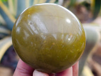 Polished Green Opal Palm Stones x 12 From Betroka, Madagascar