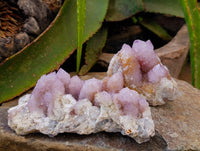 Natural Amethyst Spirit Quartz Clusters x 2 From Boekenhouthoek, South Africa