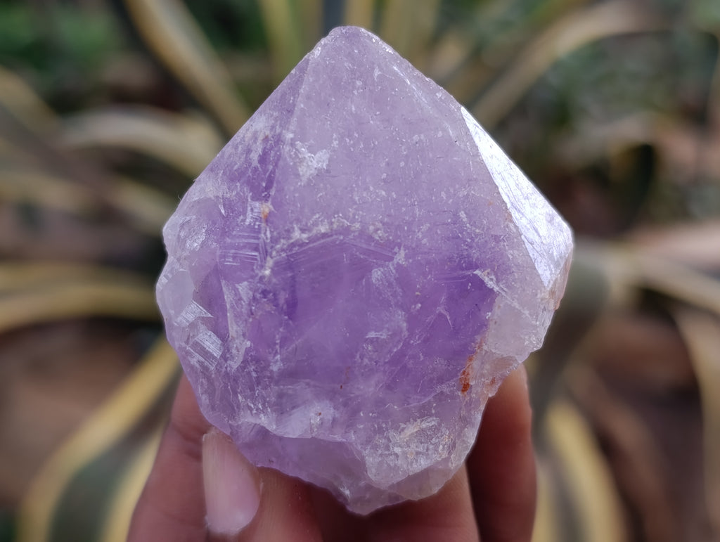 Natural Jacaranda Amethyst Quartz Crystals 12 x from Mumbwa, Zambia - Toprock Gemstones and Minerals 