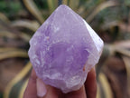 Natural Jacaranda Amethyst Quartz Crystals 12 x from Mumbwa, Zambia - Toprock Gemstones and Minerals 