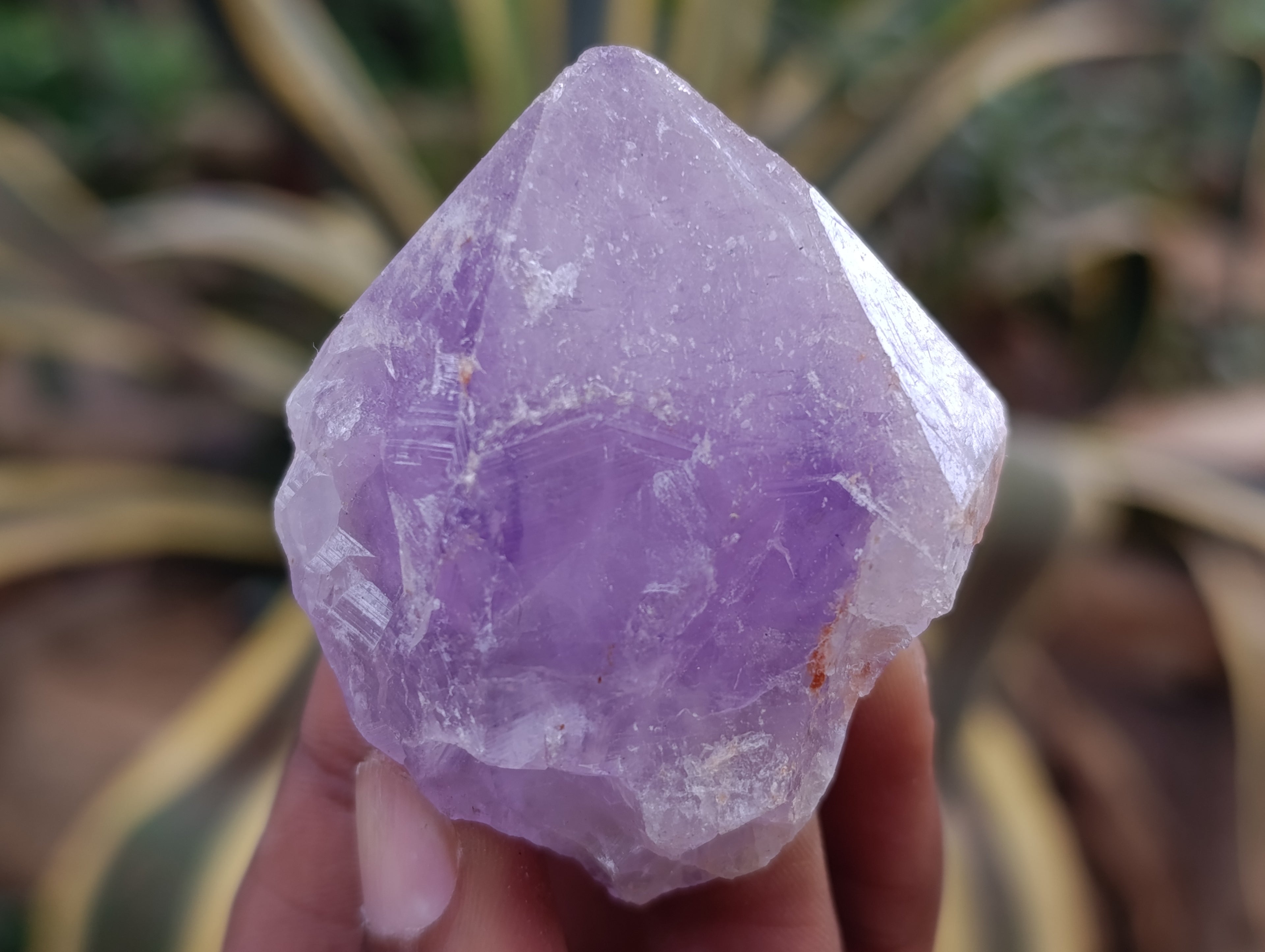 Natural Jacaranda Amethyst Quartz Crystals 12 x from Mumbwa, Zambia - Toprock Gemstones and Minerals 