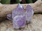 Natural Jacaranda Amethyst Quartz Crystals 12 x from Mumbwa, Zambia - Toprock Gemstones and Minerals 
