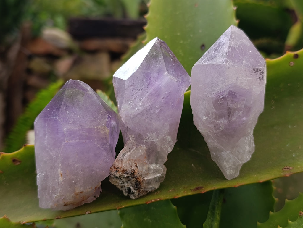 Natural Jacaranda Amethyst Quartz Crystals 12 x from Mumbwa, Zambia - Toprock Gemstones and Minerals 