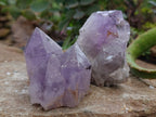 Natural Jacaranda Amethyst Quartz Crystals 12 x from Mumbwa, Zambia - Toprock Gemstones and Minerals 