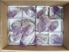 Natural Jacaranda Amethyst Quartz Crystals 12 x from Mumbwa, Zambia - Toprock Gemstones and Minerals 