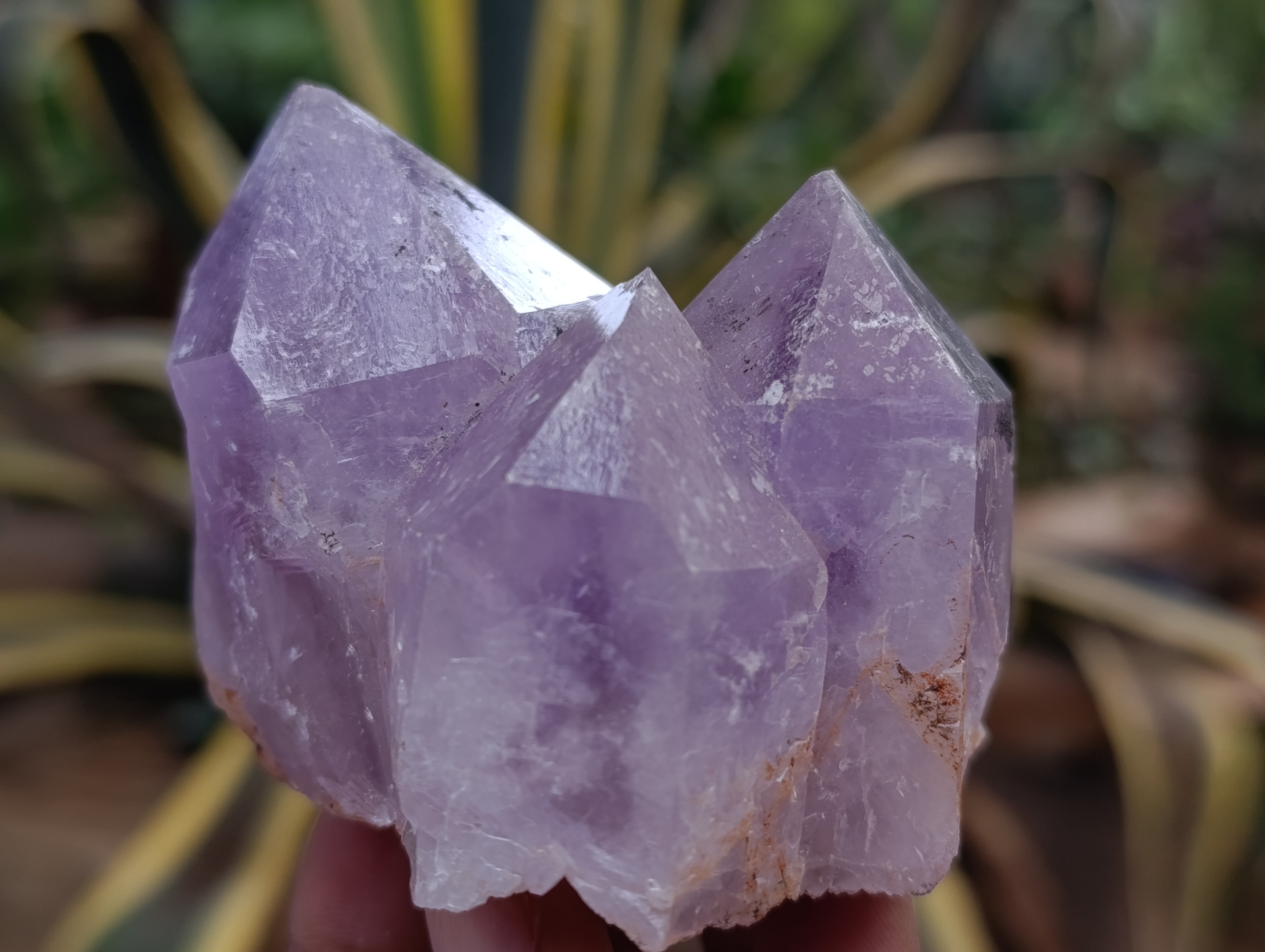 Natural Jacaranda Amethyst Quartz Crystals 12 x from Mumbwa, Zambia - Toprock Gemstones and Minerals 