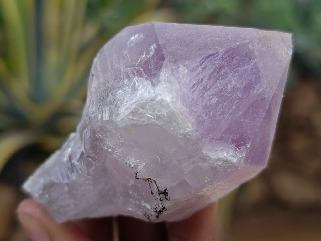 Natural Jacaranda Amethyst Quartz Crystals 12 x from Mumbwa, Zambia - Toprock Gemstones and Minerals 