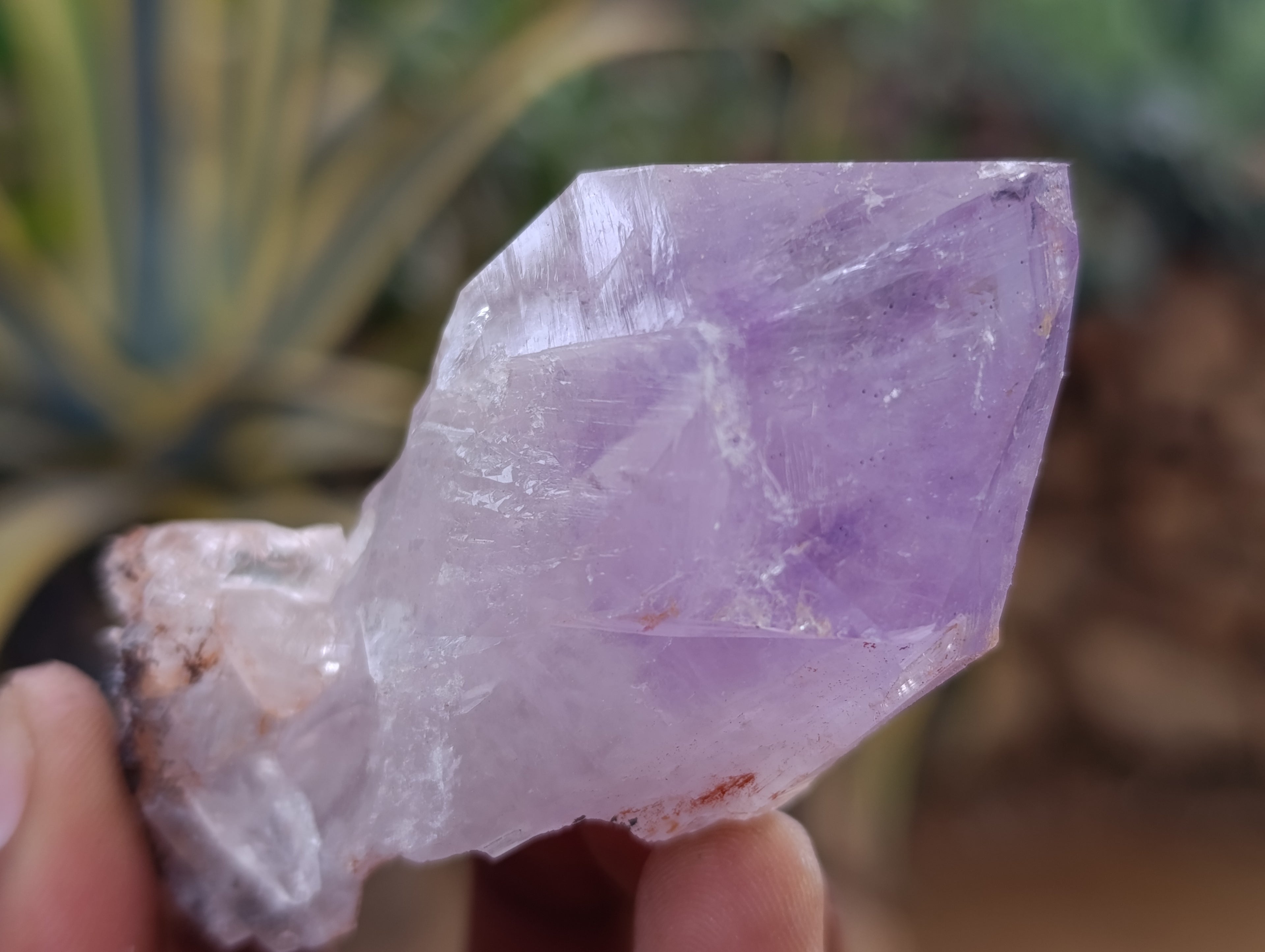 Natural Jacaranda Amethyst Quartz Crystals 12 x from Mumbwa, Zambia - Toprock Gemstones and Minerals 