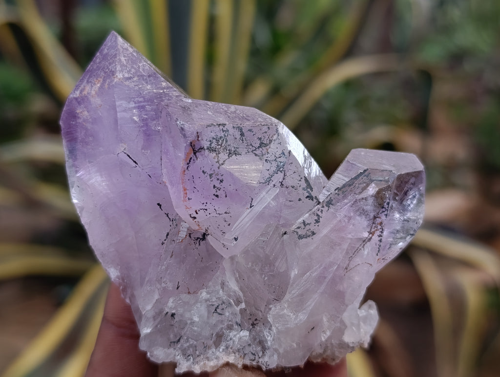 Natural Jacaranda Amethyst Quartz Crystals 12 x from Mumbwa, Zambia - Toprock Gemstones and Minerals 