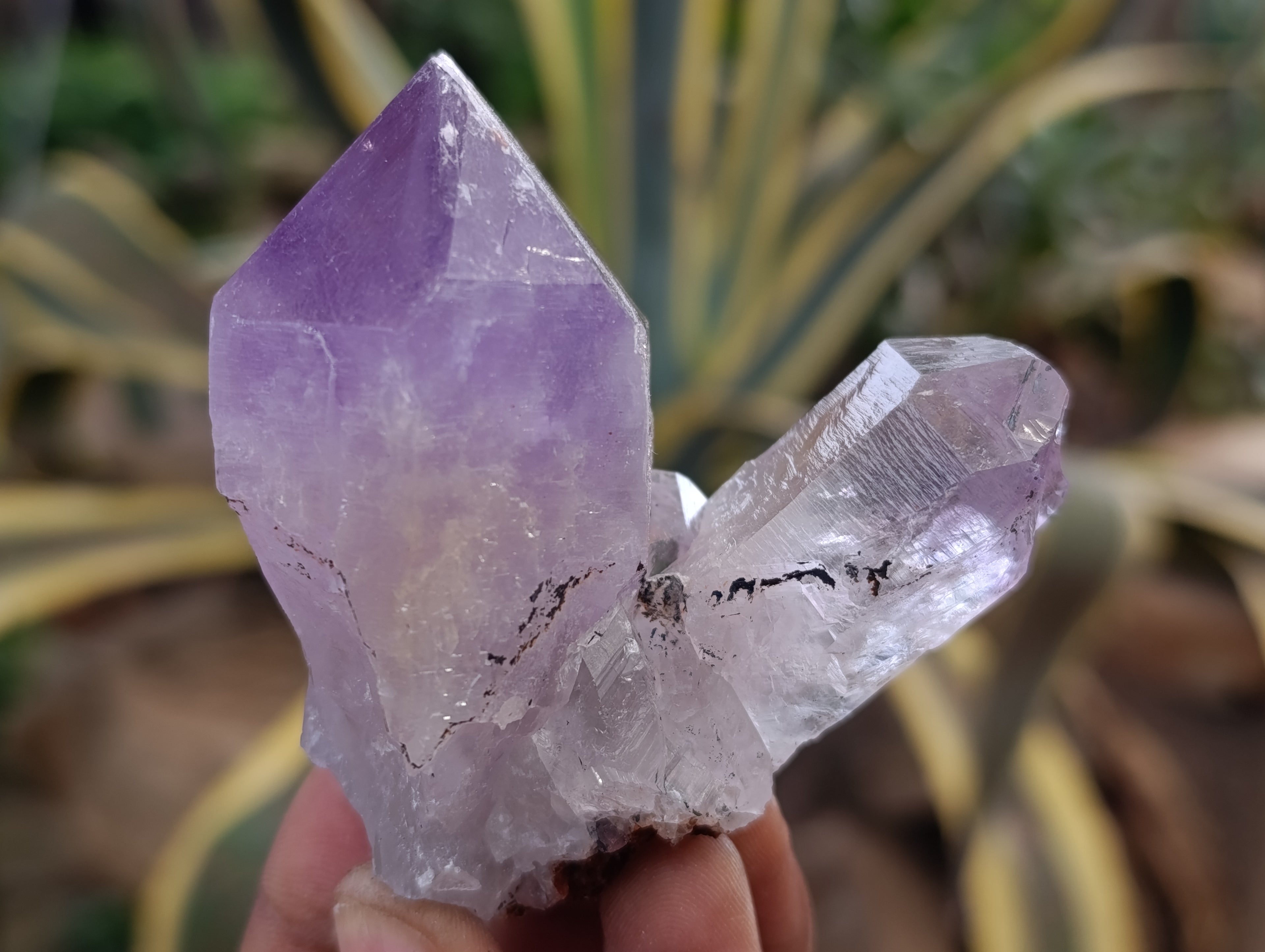 Natural Jacaranda Amethyst Quartz Crystals 12 x from Mumbwa, Zambia - Toprock Gemstones and Minerals 
