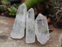 Natural Single Clear Quartz Crystals x 35 From Madagascar