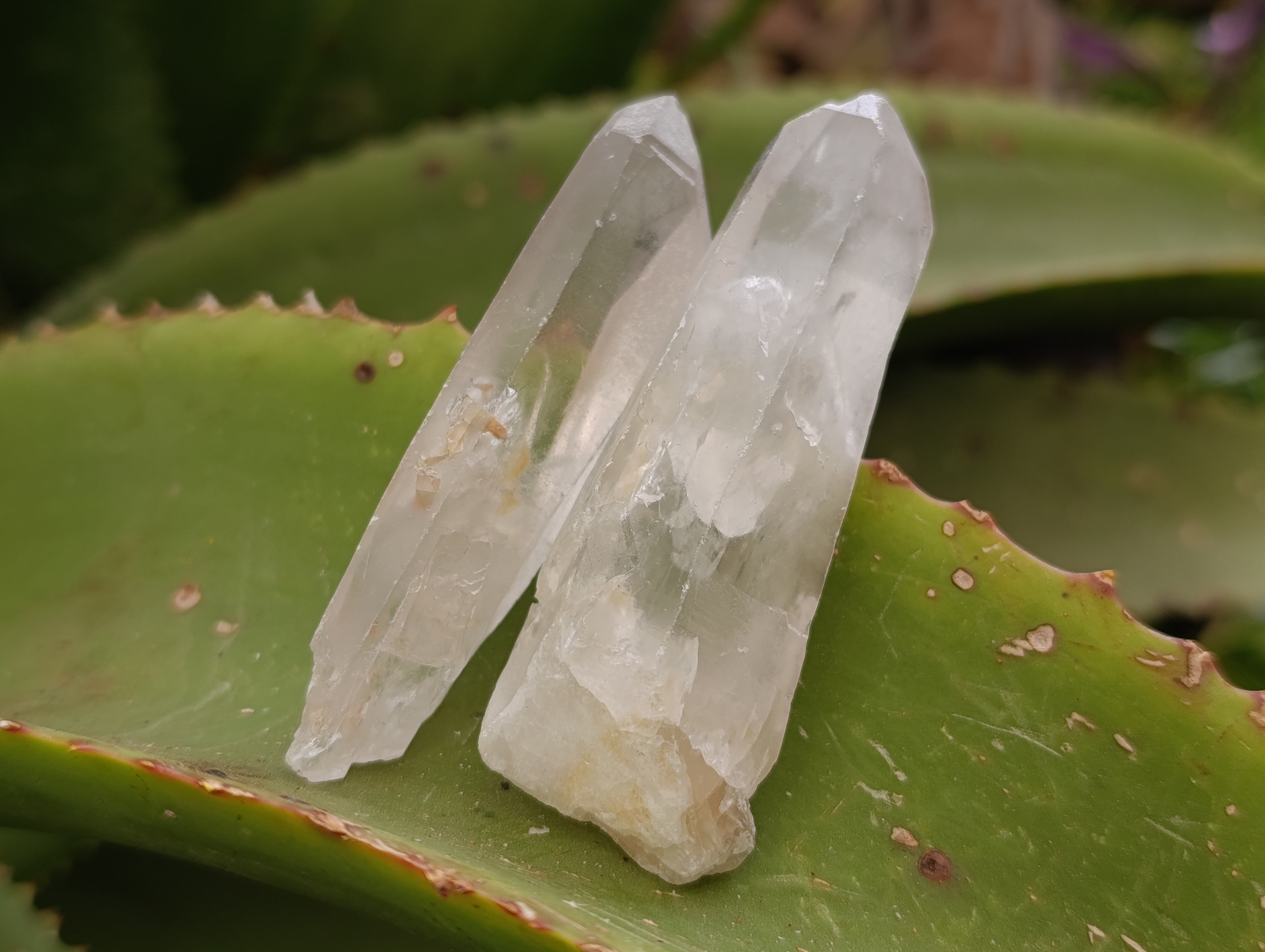 Natural Single Clear Quartz Crystals x 35 From Madagascar - Toprock Gemstones and Minerals 