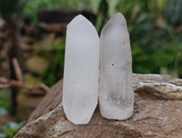 Natural Single Clear Quartz Crystals x 35 From Madagascar