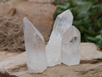 Natural Single Clear Quartz Crystals x 35 From Madagascar