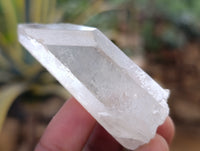 Natural Single Clear Quartz Crystals x 35 From Madagascar
