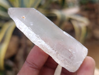 Natural Single Clear Quartz Crystals x 35 From Madagascar