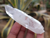 Natural Single Clear Quartz Crystals x 35 From Madagascar