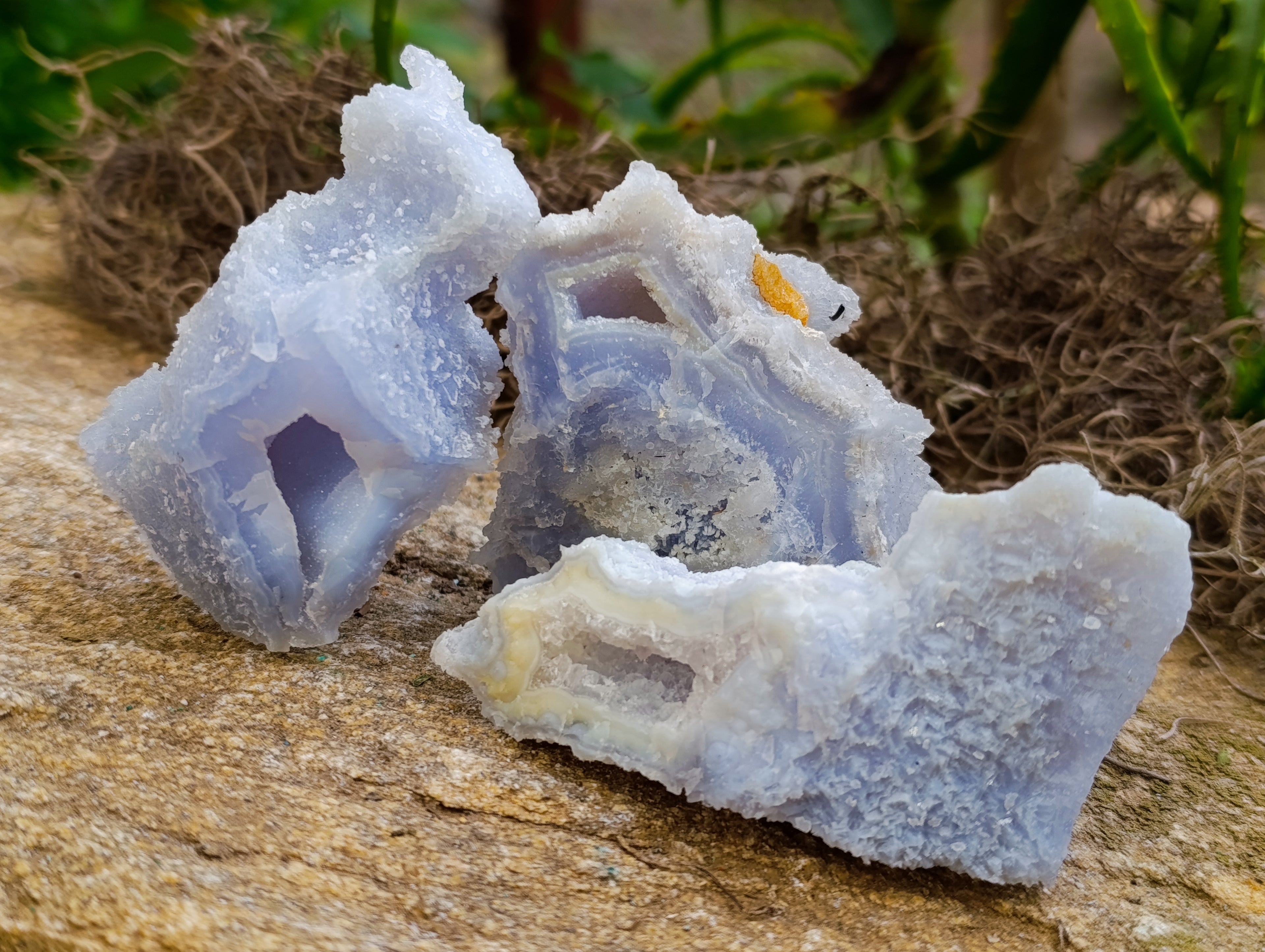 Natural Etched Blue Chalcedony Specimens x 12 From Nsanje, Malawi - Toprock Gemstones and Minerals 