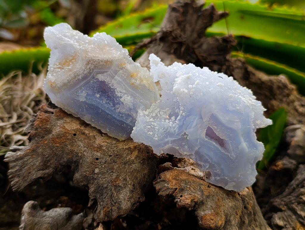Natural Etched Blue Chalcedony Specimens x 12 From Nsanje, Malawi - Toprock Gemstones and Minerals 