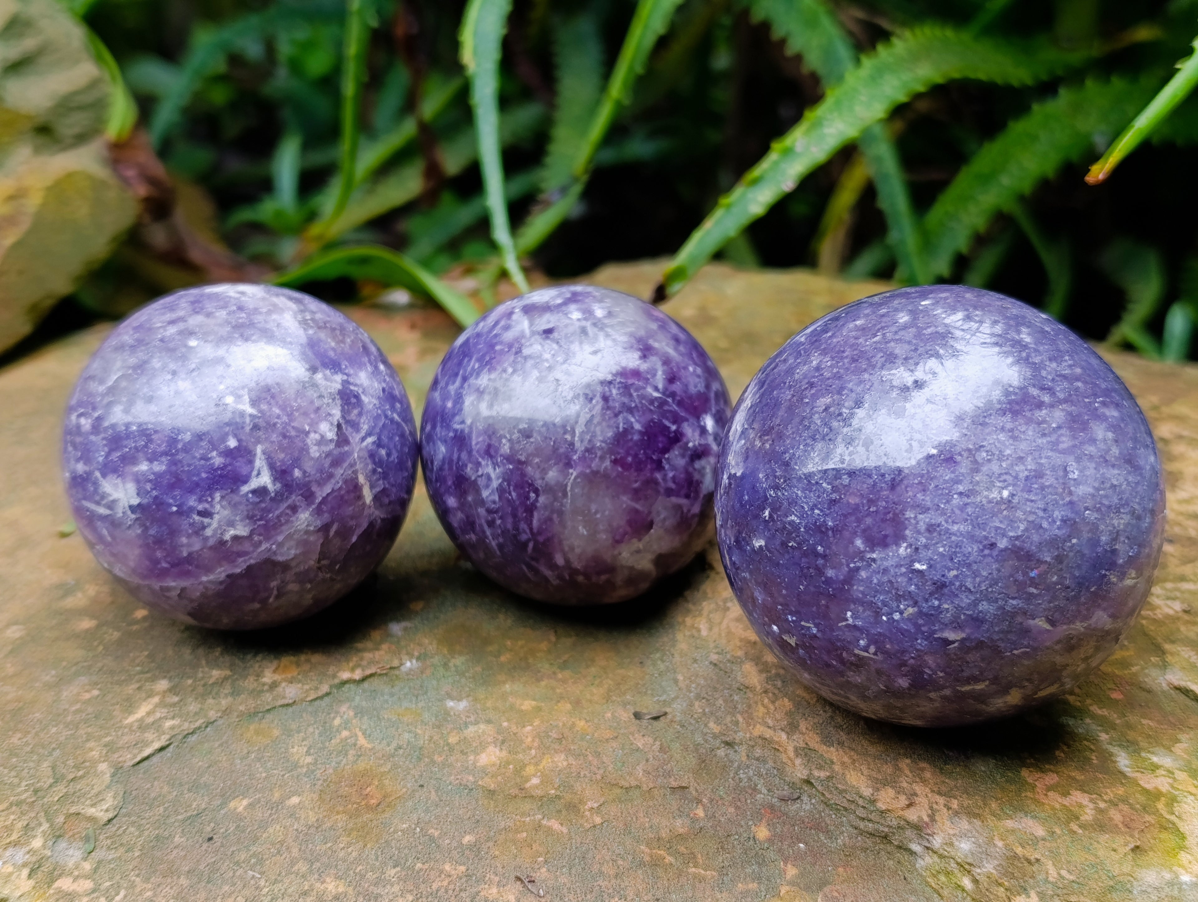 Polished Lepidolite with Pink Rubellite Spheres x 6 From Ambatondrazaka, Madagascar - Toprock Gemstones and Minerals 
