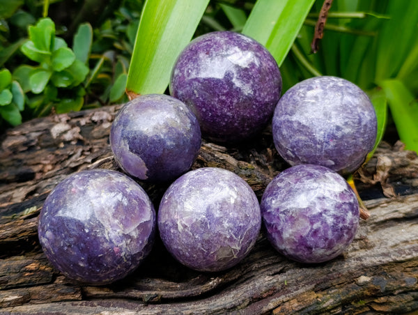 Polished Lepidolite with Pink Rubellite Spheres x 6 From Ambatondrazaka, Madagascar