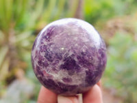 Polished Lepidolite with Pink Rubellite Spheres x 6 From Ambatondrazaka, Madagascar